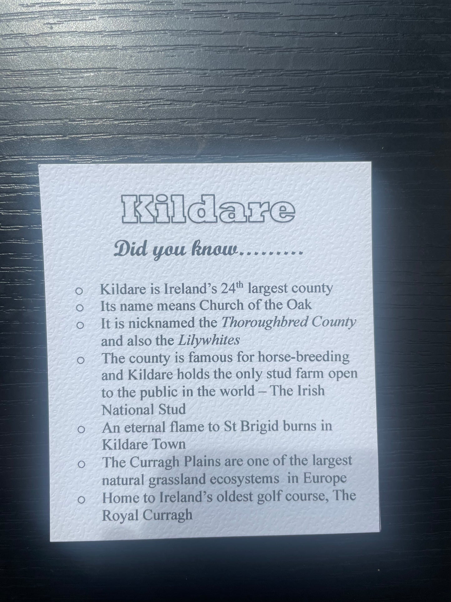 Kildare Keyring