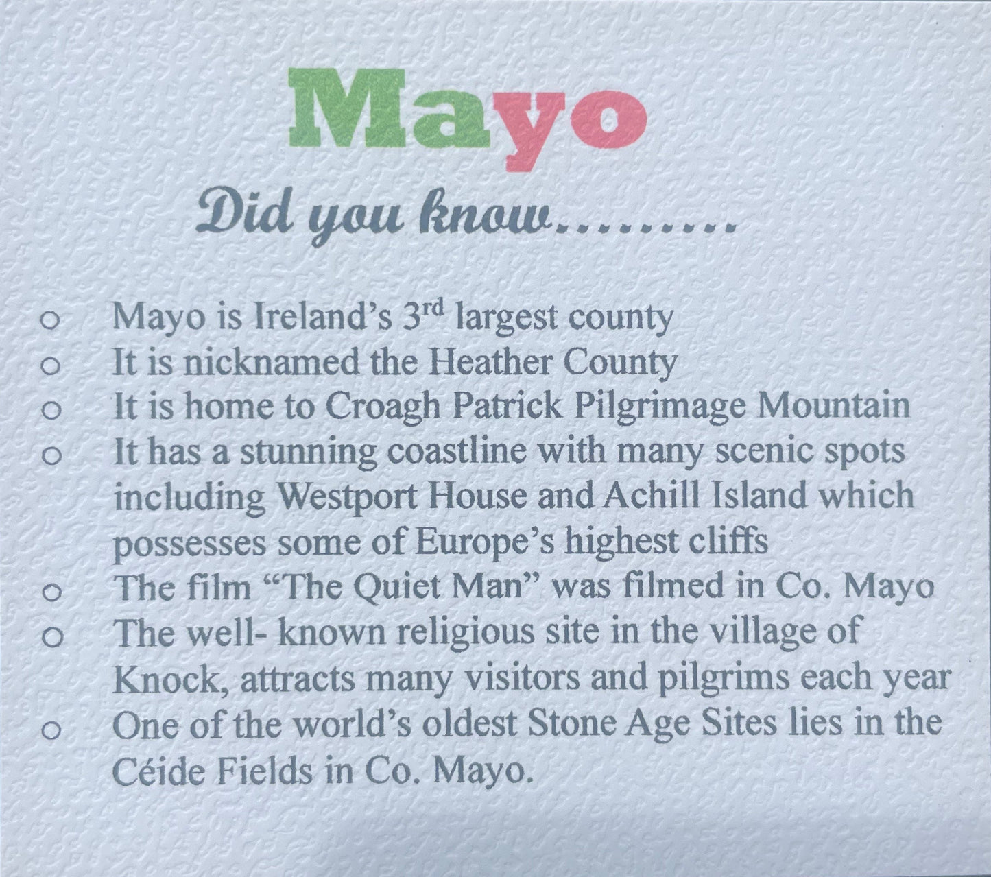 Mayo Keyring