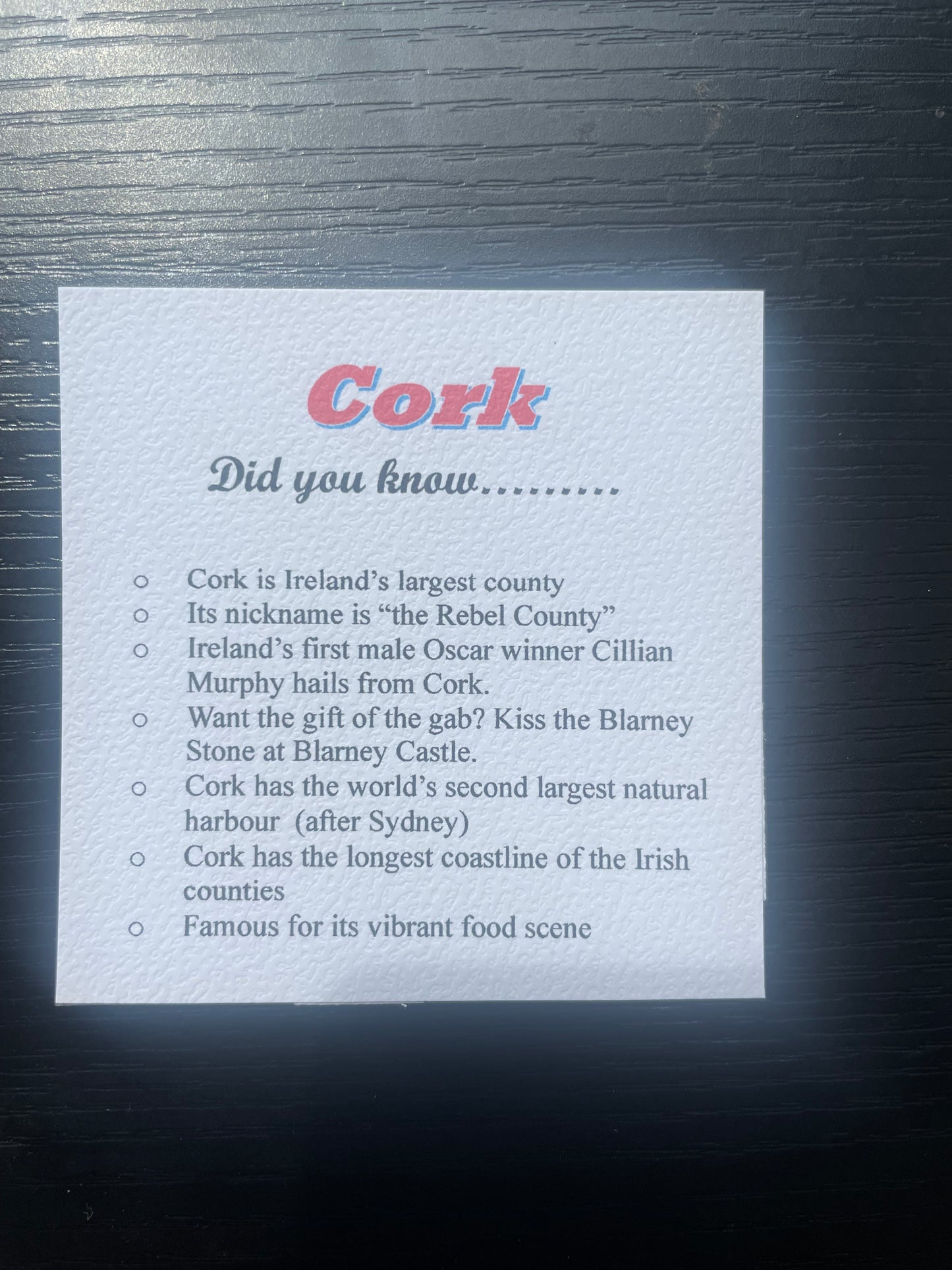 Cork Necklace