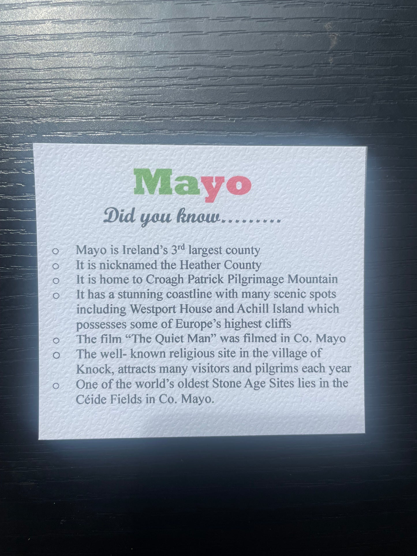 Mayo Necklace